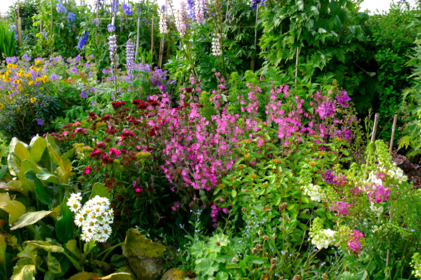 garten blumen