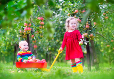 Gefahrenquellen im Garten: So gestalten Sie den Garten kinderfreundlich! zwei süße Kleinkinder unter Apfelbäumen