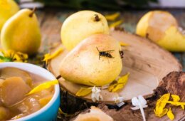 Wespen abwehren auf Birne