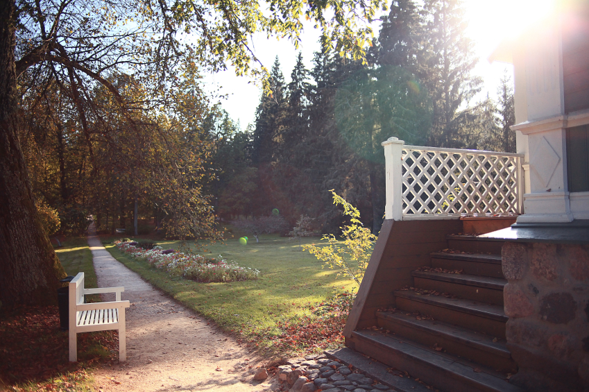 Ein sonniger Herbst-Tag: beste Zeit für einen kleinen Rundgang durch den Garten.