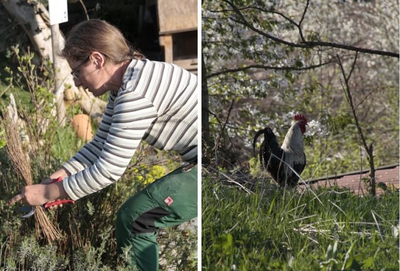Mensch und Tier im Permagarten
