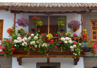 Balkon mit bunten Blumen