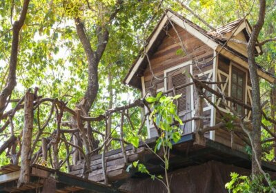 Ein Garten für Kinder: Baumhaus selber bauen – so geht’s! Baumhaus für Kinder