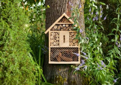Insektenhotel aufstellen im Garten