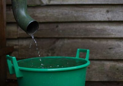 Regenwasser sammeln und nutzen: Tipps & Tricks Regentonne mit Dachrinne
