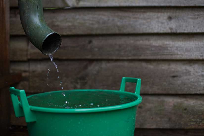 Regenwasser sammeln und nutzen: Tipps & Tricks Regentonne mit Dachrinne