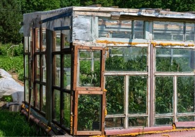 Gewächshaus aus alten Fenstern bauen: Das solltest du wissen! Gewächshaus aus alten Fenstern