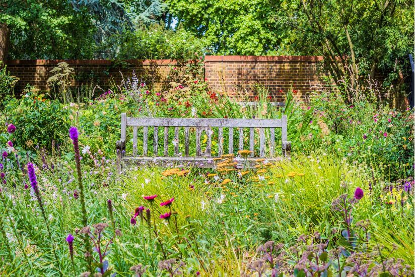 Naturgarten anlegen: Eine einfache Wildgarten Anleitung zum Nachmachen! Naturgarten anlegen Wiese