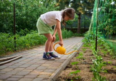 Gemüsegarten für Anfänger: So wird’s garantiert was mit dem ersten Gemüsegarten! Gemüsegarten für Anfänger