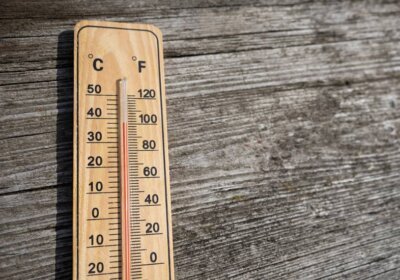 Thermoholz Vorteile Nachteile: Dafür eignet sich das Holz und dafür nicht! Thermoholz Vorteile Nachteile
