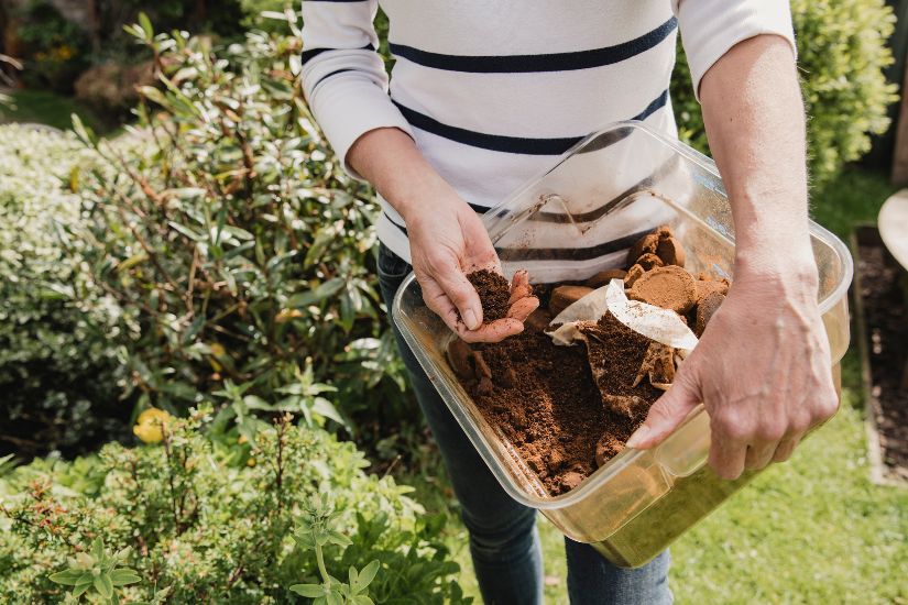 Kaffeesatz als Dünger: Eine umweltfreundliche Alternative für den Garten? Kaffesatz als Duenger für die Pflanzen verwenden
