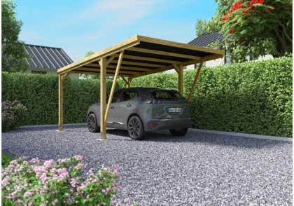 Alpholz Victor Moderne enkele carport